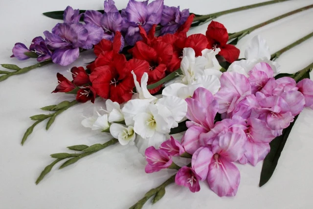 Гладиоусы искусственные